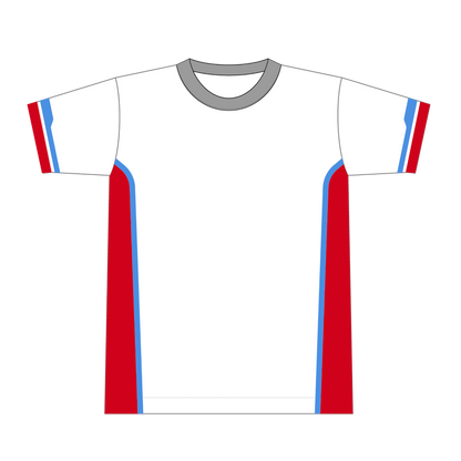 11枚 オリジナルTシャツ製作 T-2